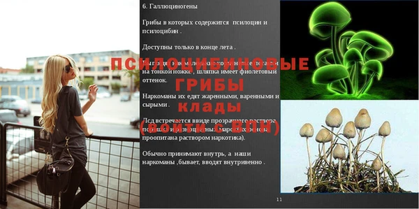 метадон Алексеевка